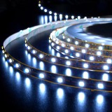 LED Strip & Module